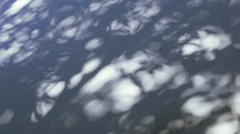 Shadows trees on ground Stock-Footage 56021314