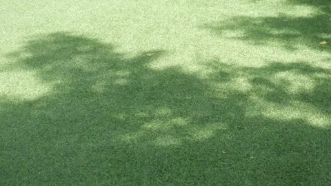 Shadows of trees moving on bright green grass in the sunlight Stock Footage 332866377