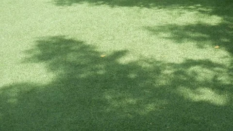 Shadows of trees moving on bright green grass in the sunlight Stock Footage 332866393