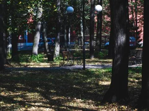 Shadows from trees in the Park in summer Stock Photos