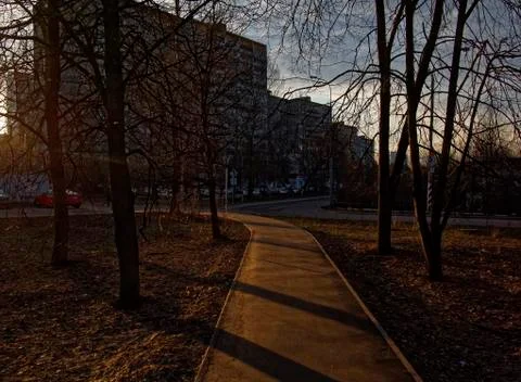 Shadows of trees on the paved path Stock Photos