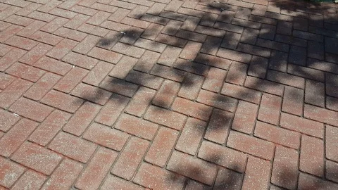 Shadows of the trees swinging on the empty pavement. Stock Footage 121528428