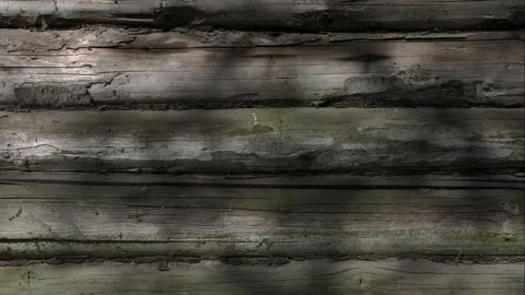 Shadows of trees on the wall of a log house. Stock Footage 146478852