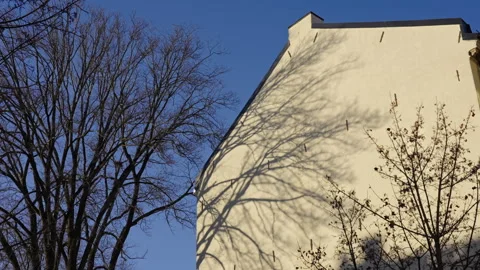 Shadows of Trees on Yellow Building Facades Vídeo Stock 297507443