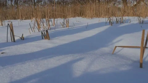 Shadows of two people walk along the shore on a frozen lake 1 Stock-Footage 149809320