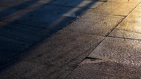 Shadows of walking people on sidewalk during sunset. Stock Footage 112641687