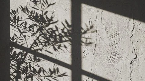 Shadows on a wall outside window. Fotos Stock