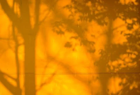 Shadows on the wall Foto stock