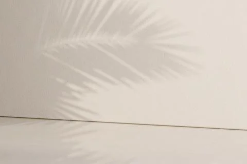 Shadows on wall with tropical tree texture product display mockup, minimal .. Stock Illustration