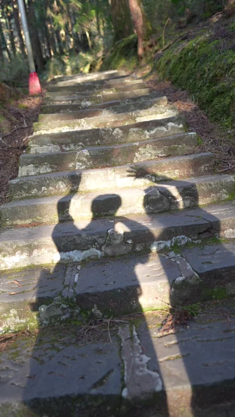 Shadows waving on a staircase Stock Footage 281191461