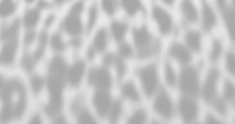 Shadows on white background, abstract motion design Stock Footage 296697429