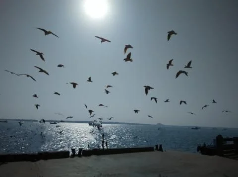 A shadowy evening on the riverfront Stock Photos