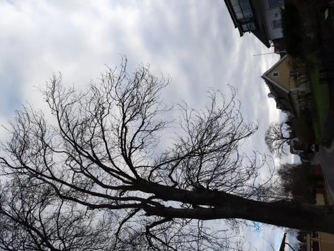 A shadowy landscape Stock Photos