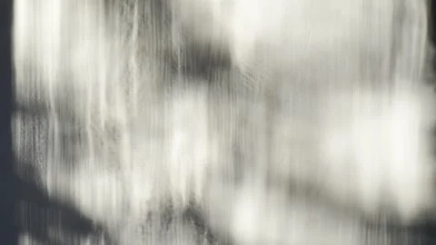 Shadowy silhouettes of windblown foliage dancing across a sunlit textured wall Vídeos de archivo 334655901