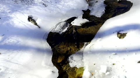 Shadowy stream with melting snow Stock Footage 337049035