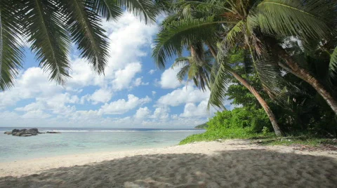 Shady beach Video stock 467908