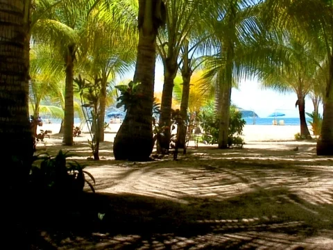 Shady Beach Stock Footage 490160