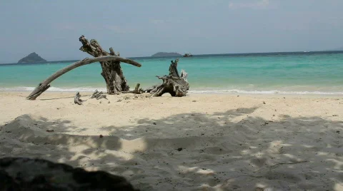 Shady Beach Scene Stock Footage 663779