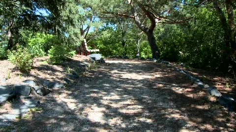 Shady Path Video stock 630612