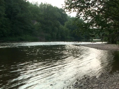 Shady Shore Stock Footage 490161