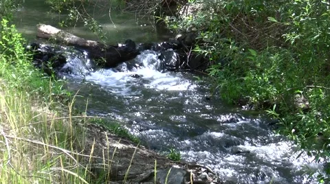 Shady stream and small waterfall V05543 Stock Footage 47857948
