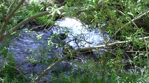 Shady stream and small waterfall V05544 Stock Footage 47857949