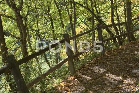 Shady trail with fence Stock Photos