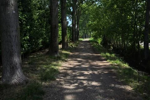 Shady trail in a park Photos