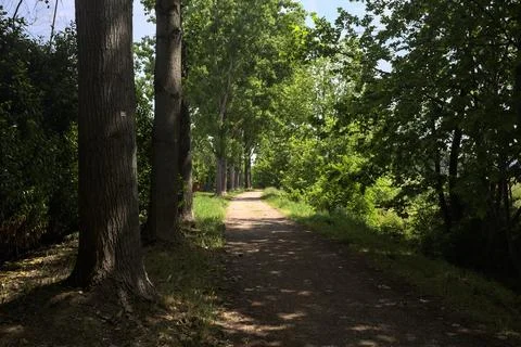 Shady trail in a park Photos