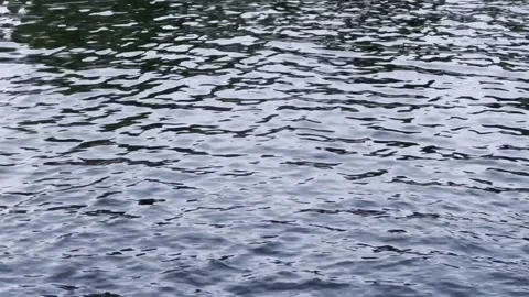Shady water Stock Footage 232014834