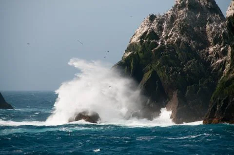 The Shag Rocks Stock Photos
