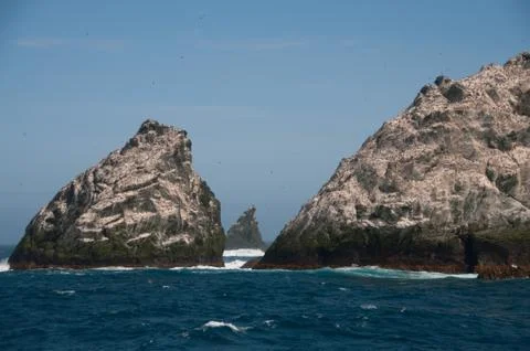 The Shag Rocks Stock Photos