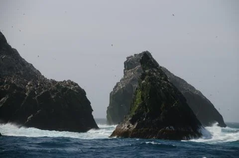 The Shag Rocks Stock Photos