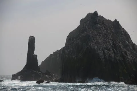 The Shag Rocks Stock Photos