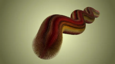 The Shaggy Snake Stock-Footage 63983657