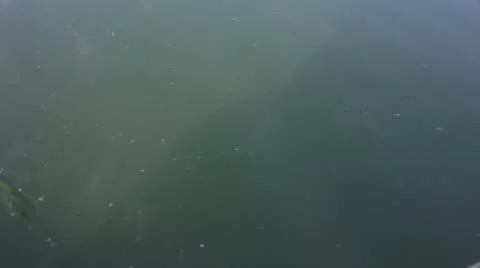 Shake the water surface Stock Footage 11895843