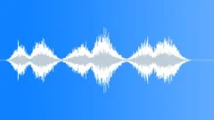 SHAKER, SALTSound Effect