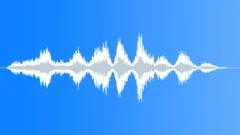 SHAKER, SALTSound Effect