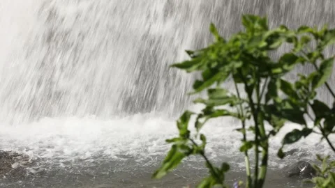 Shaki Waterfall colse up 5 Stock Footage 333134891