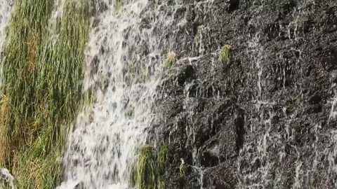 Shaki Waterfall colse up 6 Video stock 333134888