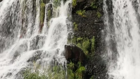 Shaki Waterfall in general plan 7 Stock Footage 333134984