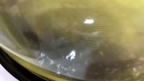 Shaking / boiling water red Stock Footage 81042251