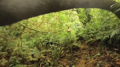 Shaking camera view of walking up hill along the mud primitive dirt grassland hi Stock Footage 245441801