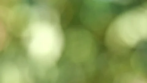 Shaking of circular shape of light, Bokeh from indoor lighting Stock Footage 132846460