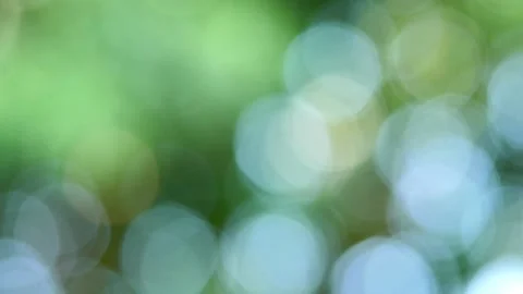 Shaking of circular shape of light Stock Footage 194527842