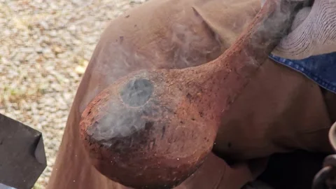 Shaking clay pot to roasted coffee beans. Stock Footage 304647314