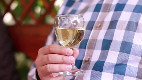 Shaking the glass of white wine Stock Footage 80550088