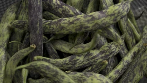 Shaking green bean pods inside black metal colander top view copy space, 4K Stock Footage 341805757