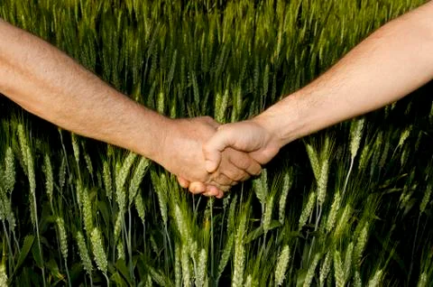 Shaking hands in the field Stock Photos