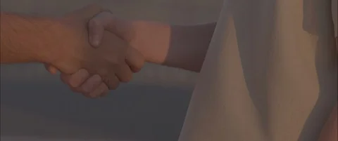 Shaking hands Stock Footage 114821185